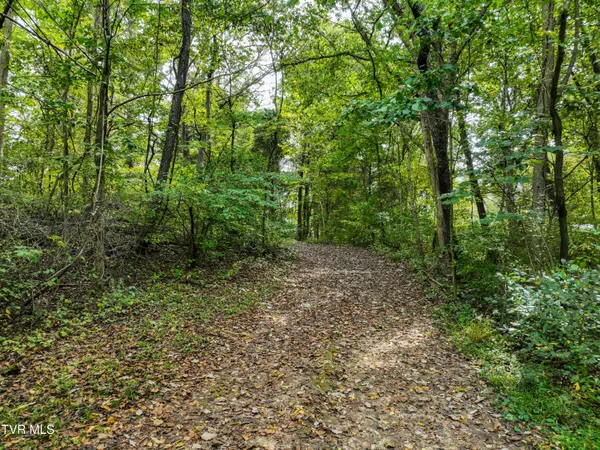 $96,900 | 22290 Sugarbush Lane, Abingdon, VA 24211