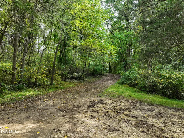 $105,000 | 22290 Sugarbush Lane, Abingdon, VA 24211