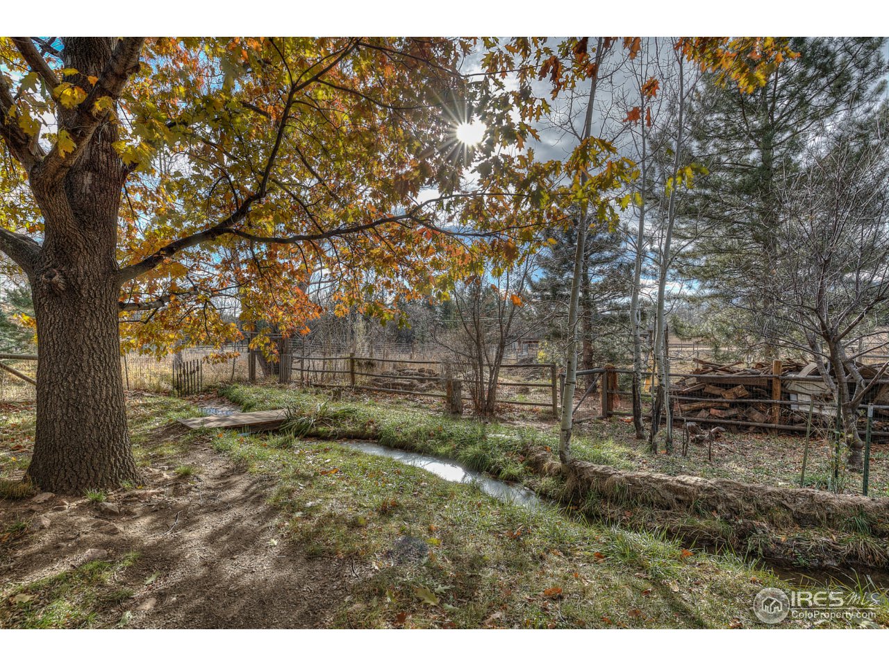 1950 Riverside Avenue Boulder, CO 80304 - Photo 4 of 21 a view of a yard with large trees