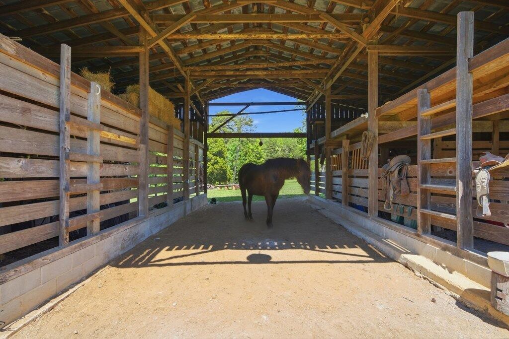 350 Piney Point Road Spring City, TN 37381 - Photo 15 of 82