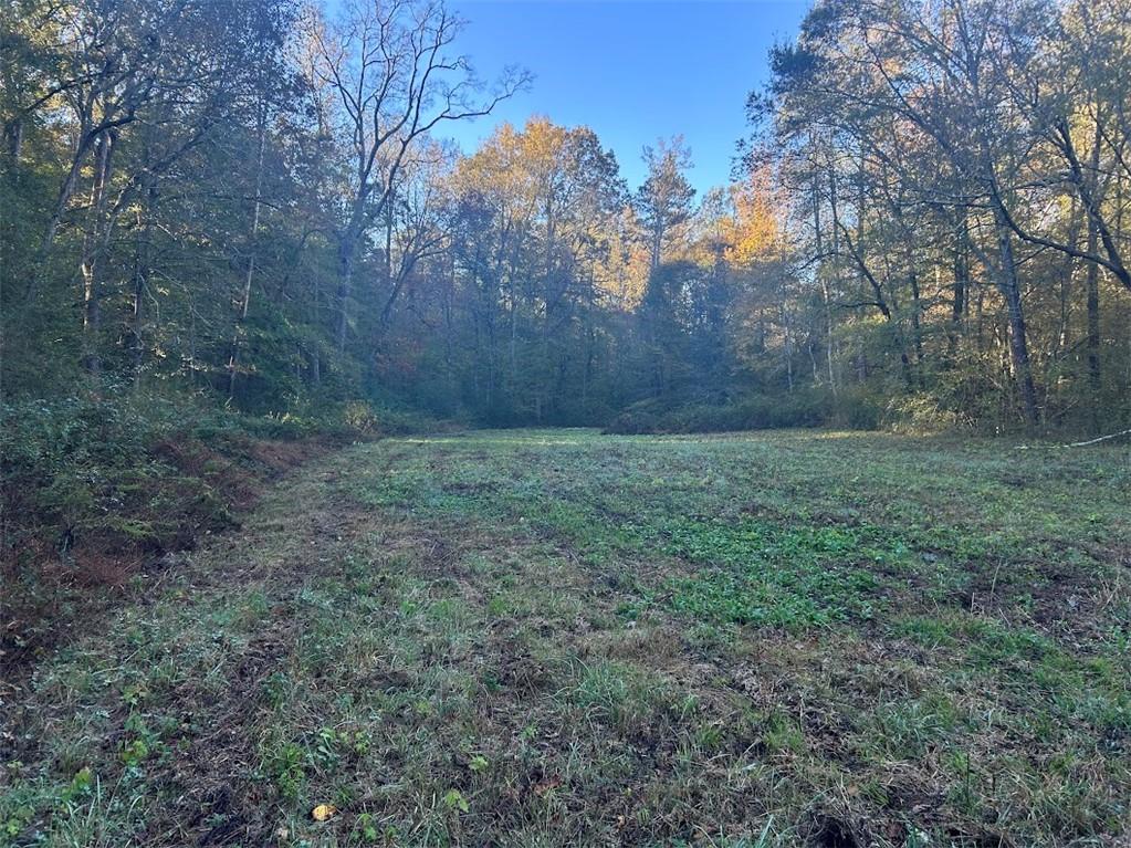 0 Old Columbus Road Bowdon, GA 30108 - Photo 11 of 26