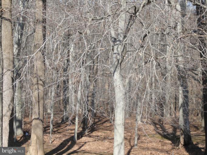 4010 Silvage Road Nottingham, MD 21236 - Photo 20 of 30 Public Land Behind Home