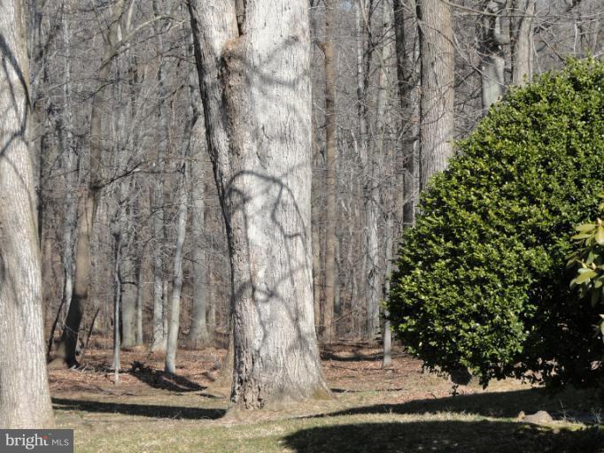 4010 Silvage Road Nottingham, MD 21236 - Photo 8 of 30 Gorgeous Mature Hardwoods on Grounds