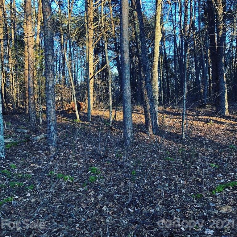 19 Navajo Trail Rutherfordton, NC 28139 - Photo 4 of 7 a backyard of a house with lots of green space