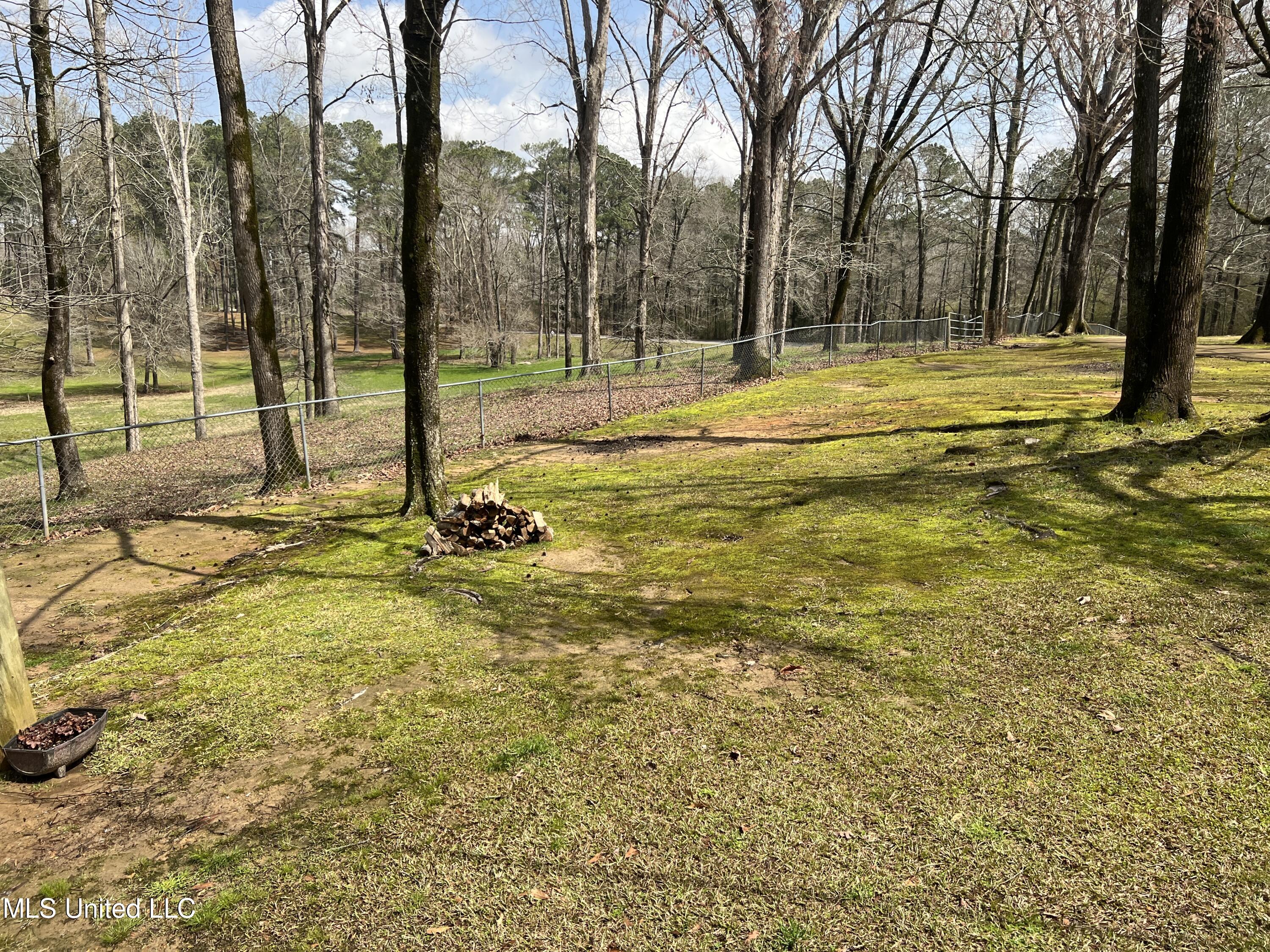 875 Gunter Road Walnut Grove, MS 39189 - Photo 14 of 30 9F9CABB3-E78C-4353-9095-8EB82C821442
