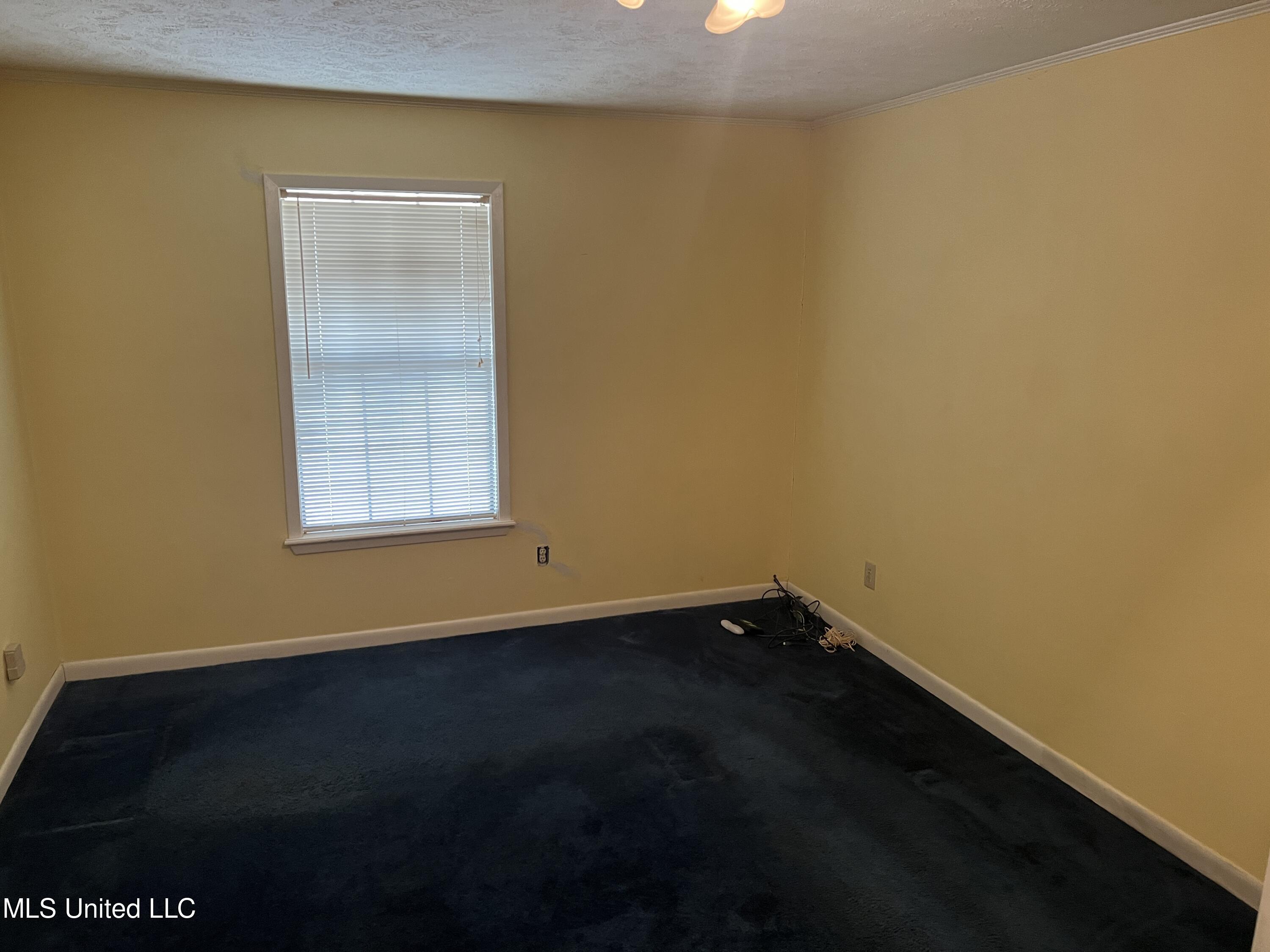875 Gunter Road Walnut Grove, MS 39189 - Photo 24 of 30 0ABF7203-D80F-4A53-BD7E-55A9F77A20DC