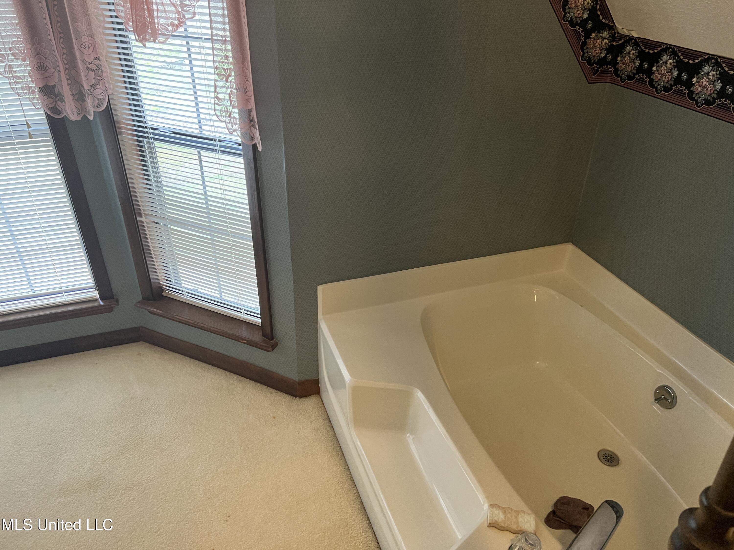 875 Gunter Road Walnut Grove, MS 39189 - Photo 27 of 30 ECC849E5-CD5A-4EAE-B4B0-D898066FE944