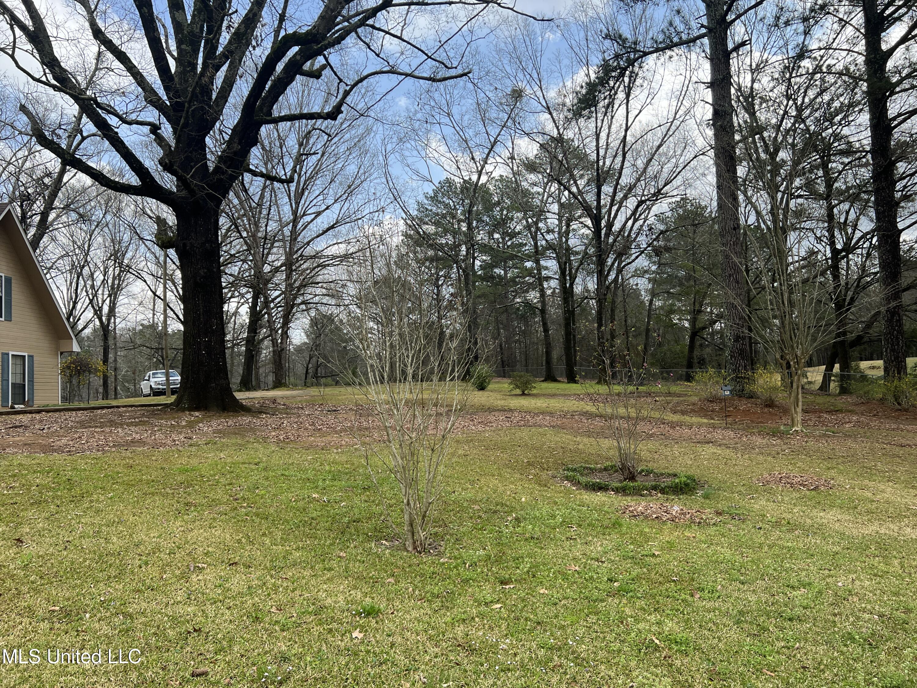 875 Gunter Road Walnut Grove, MS 39189 - Photo 5 of 30 6C3E09CD-8EE7-40C2-A62F-803A75C33440