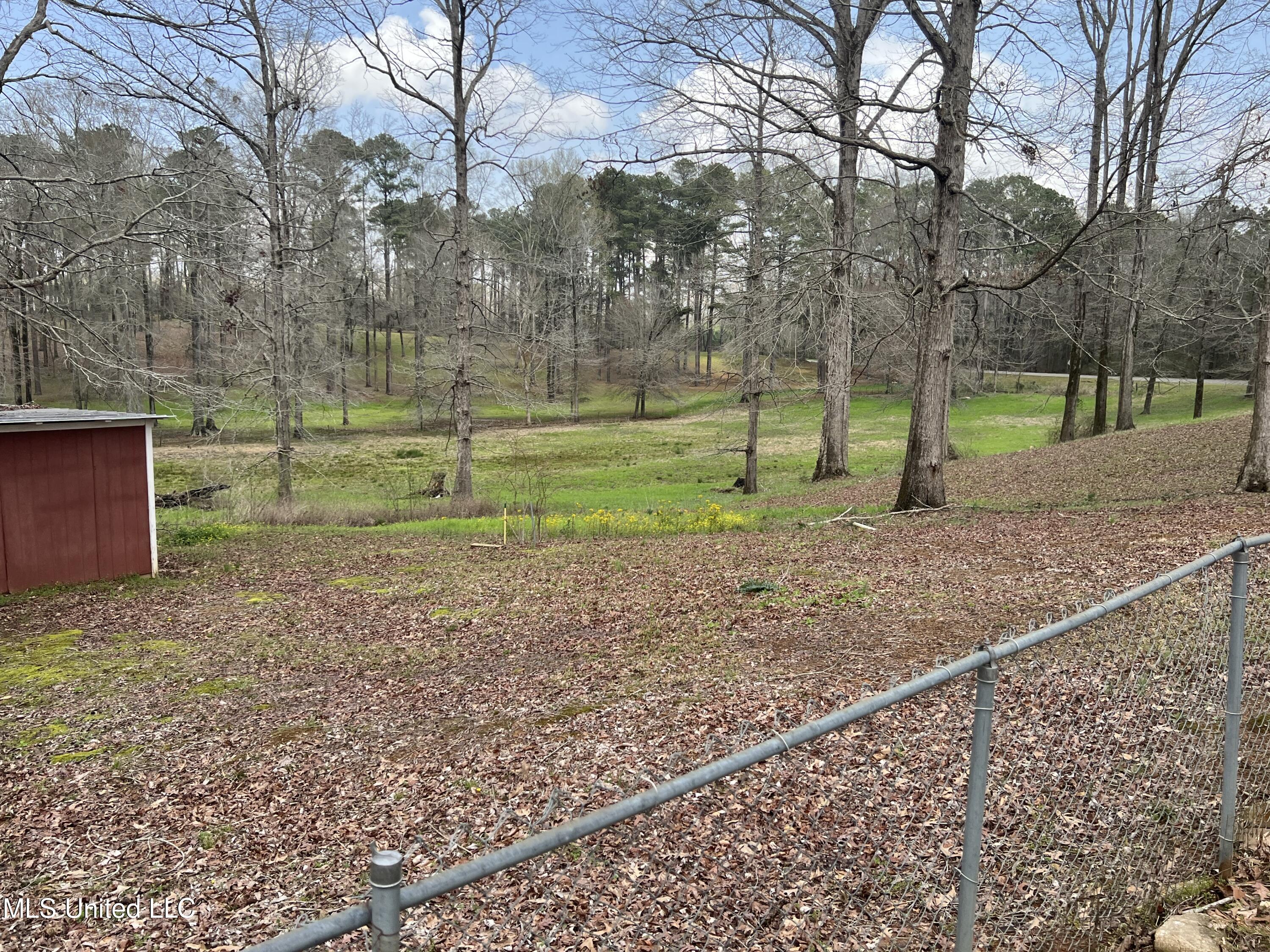 875 Gunter Road Walnut Grove, MS 39189 - Photo 10 of 30 A78111B6-CF00-4B6C-8654-F8290E584928