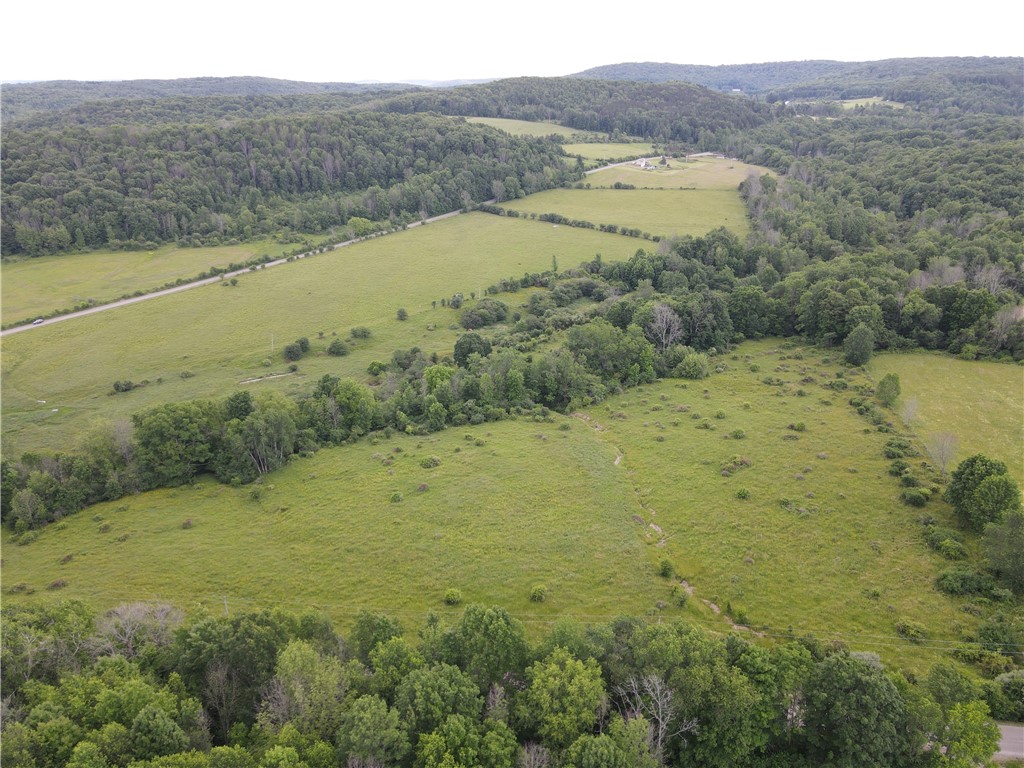 Lot 12 Beebe Hill Road Cuba, NY 14727 - Photo 6 of 13