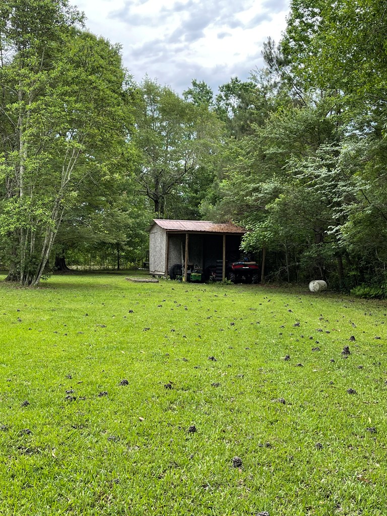 1178 Luke Road Ray City, GA 31645 - Photo 10 of 33 Gallery Image 10