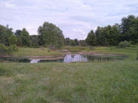 12119 Hogan Road Gaines, MI 48436 - Photo 41 of 47 20427279-40.JPG