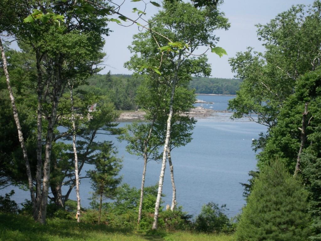 320 Wallston Road Tenants Harbor, ME 04860 - Photo 5 of 25 View at the shore.