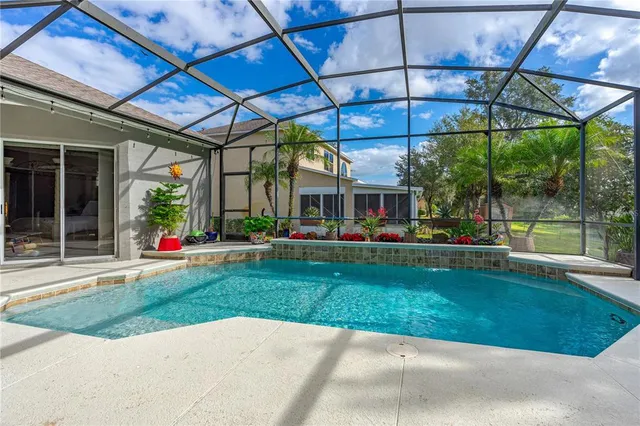 a view of a swimming pool with potted plants in front of it