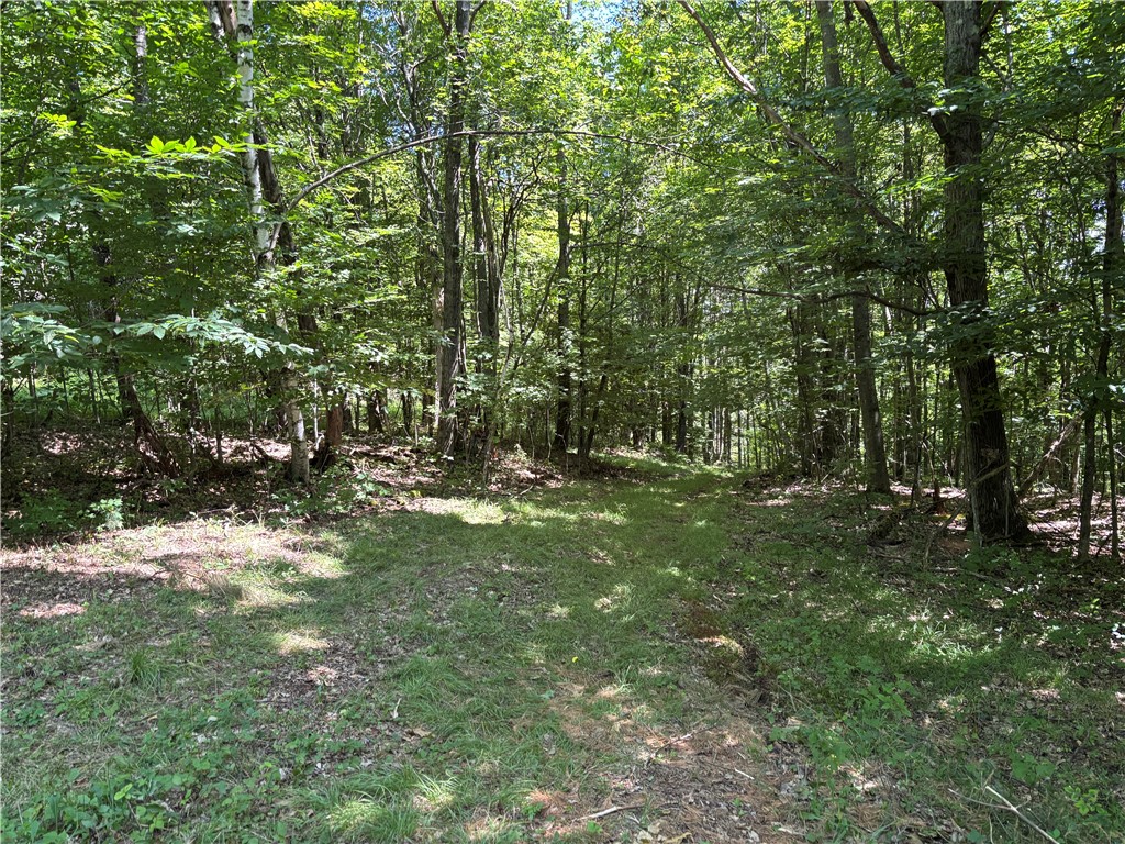 0 Cronin Road Schenevus, NY 12155 - Photo 20 of 22 Gallery Image 20