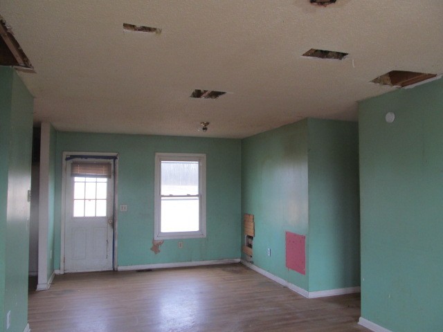 868 Barnette Road Minor Hill, TN 38473 - Photo 4 of 9 a room with window and wooden floor