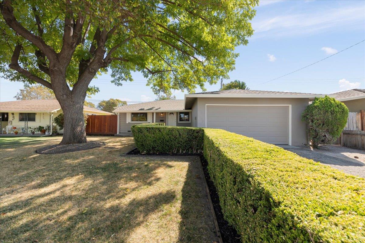 830 Keith Lane Santa Clara, CA 95054 - Photo 1 of 1 a view of house with backyard and a tree