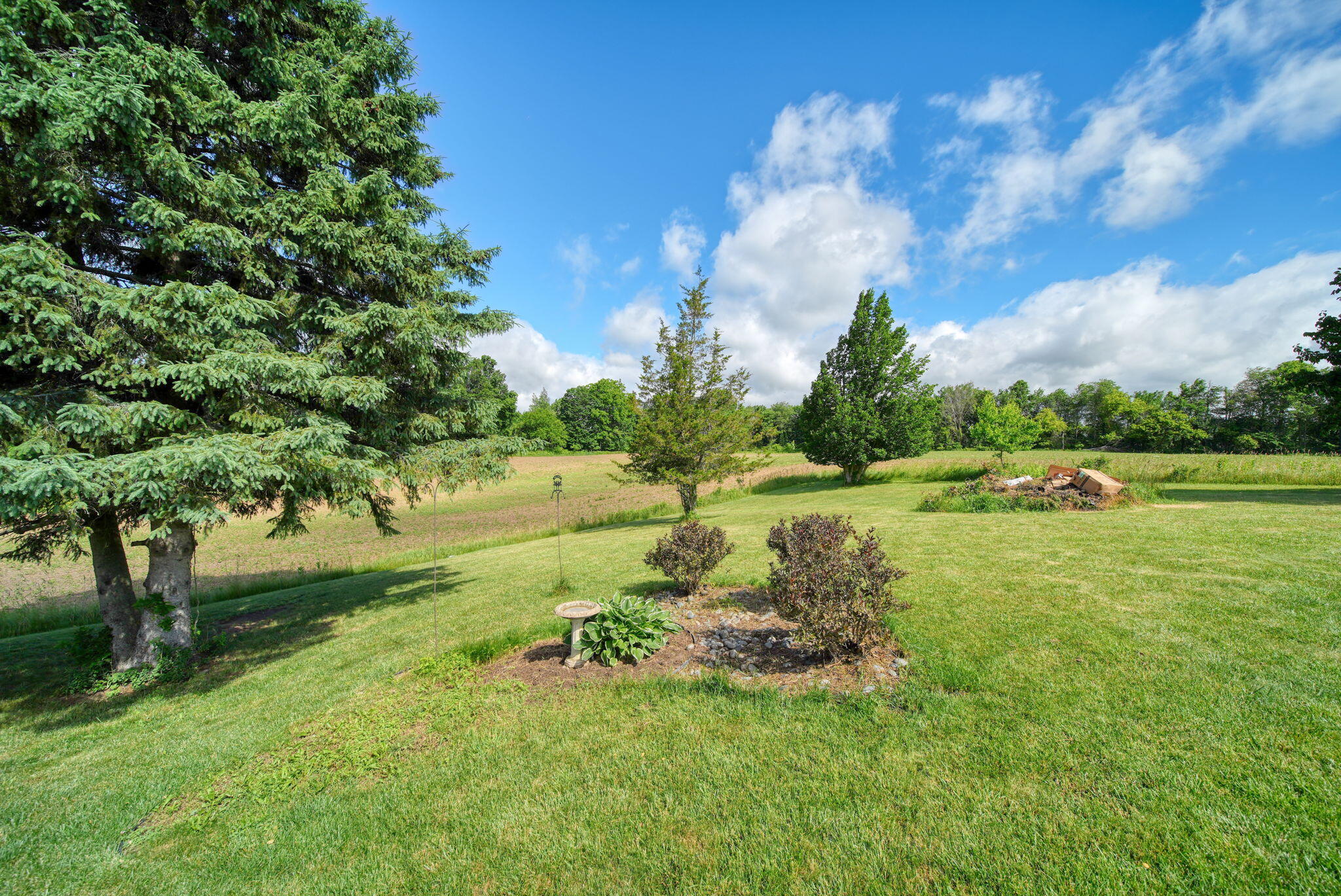 13700 Clinton Road Onondaga, MI 49264 - Photo 47 of 64 45