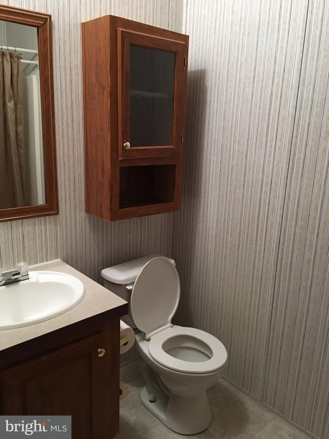 116 Decatur Drive Grantville, PA 17028 - Photo 17 of 18 Bathroom #2