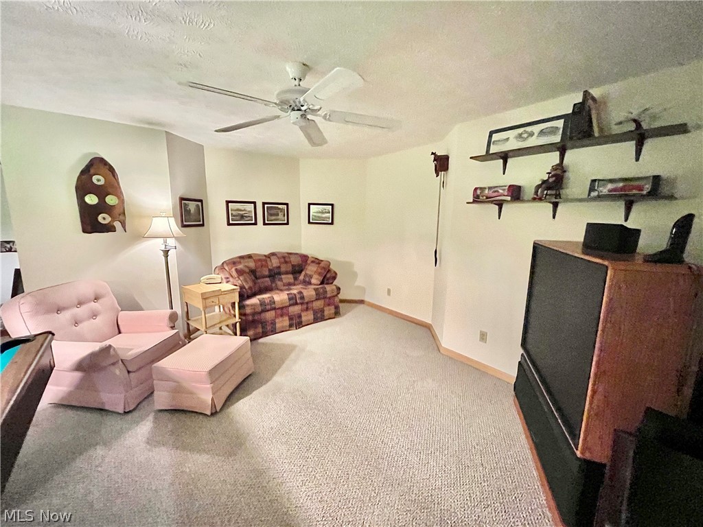 2393 Creamer Road Ashtabula, OH 44004 - Photo 30 of 48 Gallery Image 30
