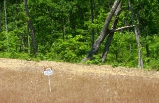 29 Wilson Creek Road Lebanon Junction, KY 40150 - Photo 1 of 1 Primary Photo