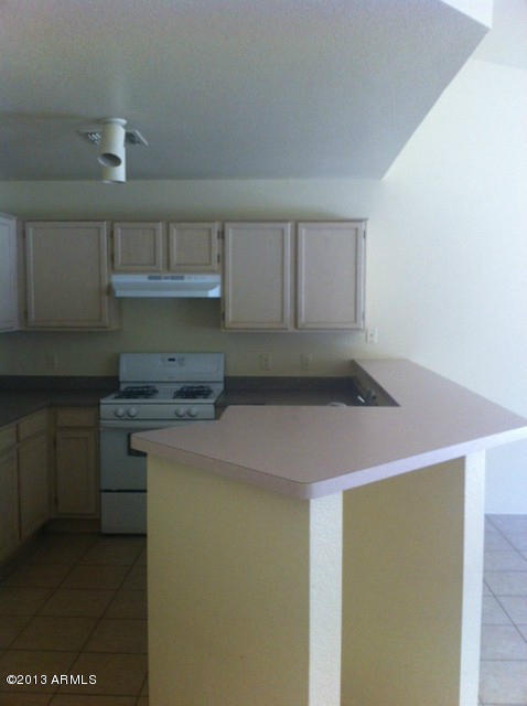 8427 West Almeria Road Phoenix, AZ 85037 - Photo 4 of 6 photalmeria 4