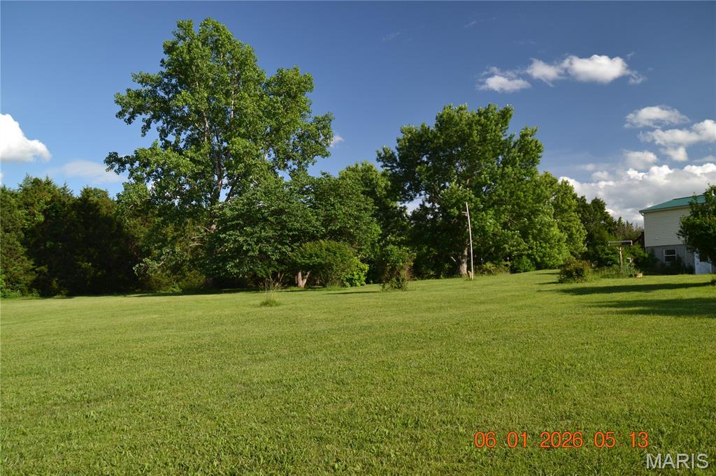 4350 Silver Springs Road Bonne Terre, MO 63628 - Photo 10 of 41