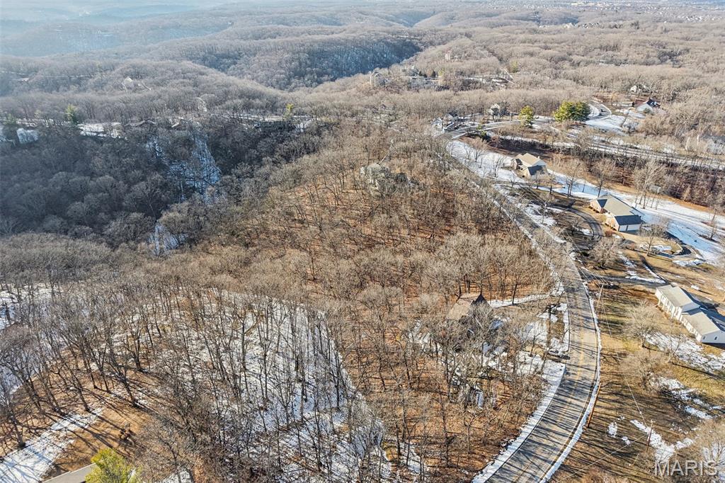 1315 Ridge Road Wildwood, MO 63021 - Photo 61 of 99