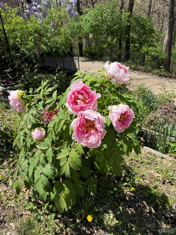 1315 Ridge Road Wildwood, MO 63021 - Photo 64 of 99