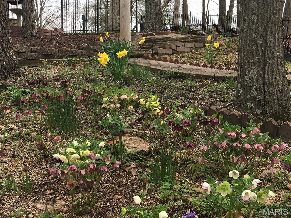 1315 Ridge Road Wildwood, MO 63021 - Photo 67 of 99