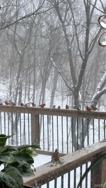 1315 Ridge Road Wildwood, MO 63021 - Photo 70 of 99