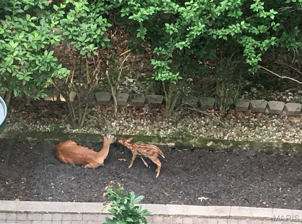 1315 Ridge Road Wildwood, MO 63021 - Photo 71 of 99