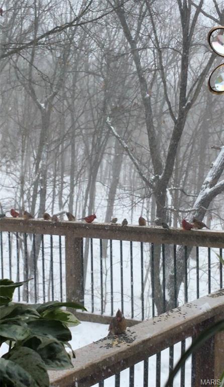 1315 Ridge Road Wildwood, MO 63021 - Photo 84 of 99