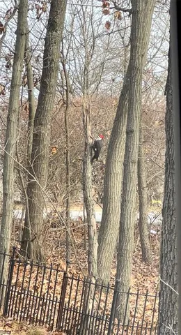 $599,900 | 1315 Ridge Road, Wildwood, MO 63021