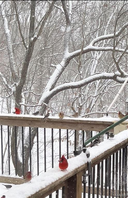 1315 Ridge Road Wildwood, MO 63021 - Photo 86 of 99