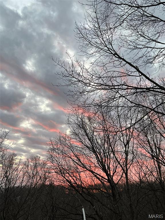 1315 Ridge Road Wildwood, MO 63021 - Photo 87 of 99