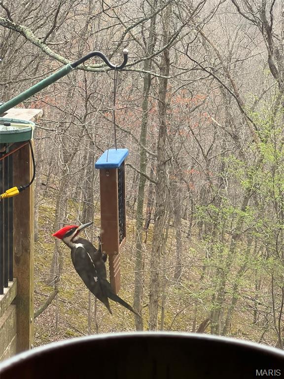 1315 Ridge Road Wildwood, MO 63021 - Photo 88 of 99