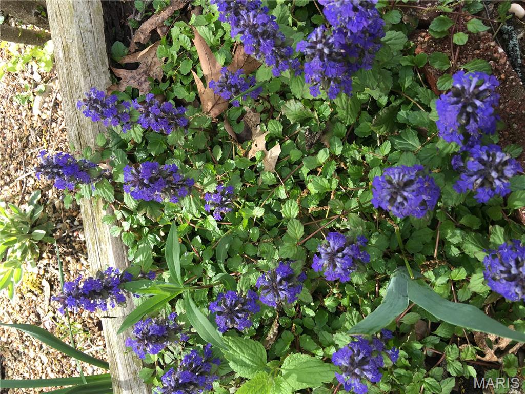 1315 Ridge Road Wildwood, MO 63021 - Photo 95 of 99