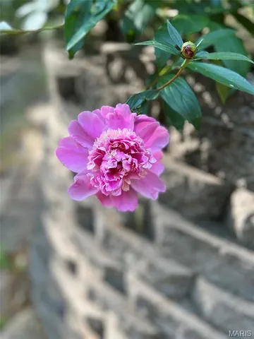 $599,900 | 1315 Ridge Road, Wildwood, MO 63021