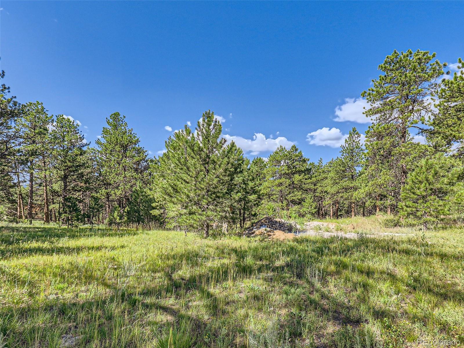 2117 Wieler Road Evergreen, CO 80439 - Photo 15 of 40 Gallery Image 15