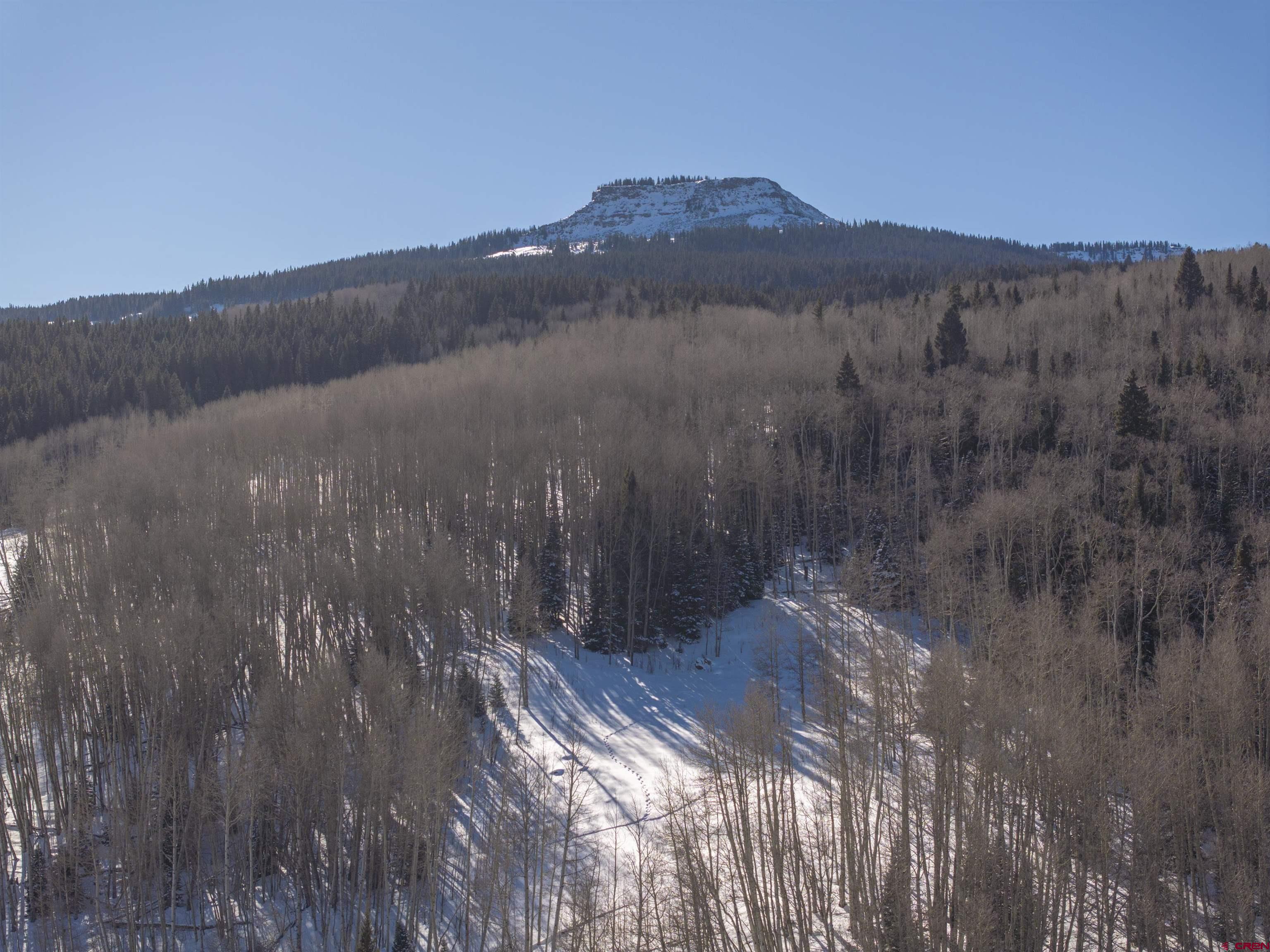 2234 Red Mountain Ranch Road Crested Butte, CO 81224 - Photo 12 of 27
