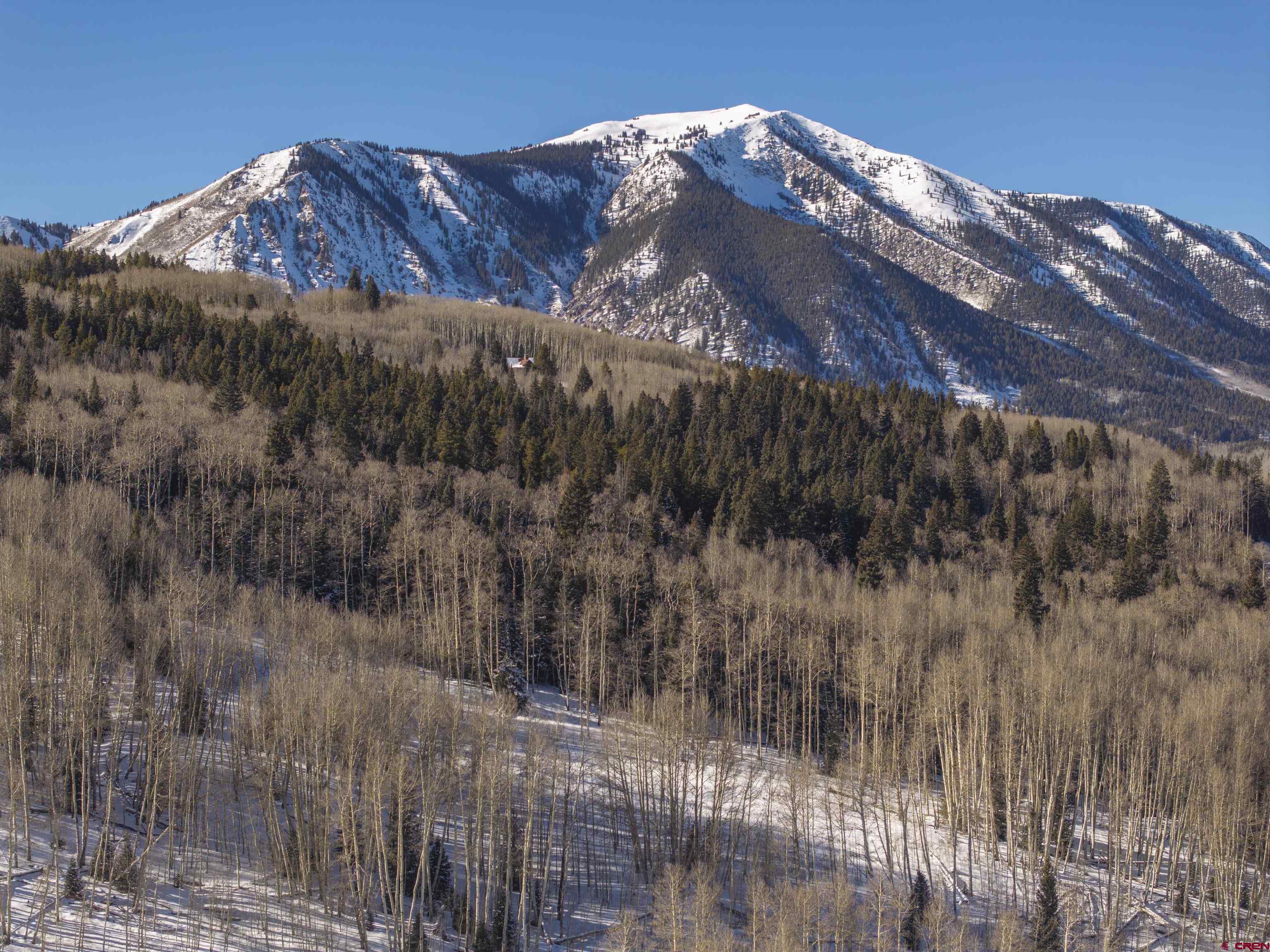 2234 Red Mountain Ranch Road Crested Butte, CO 81224 - Photo 24 of 27