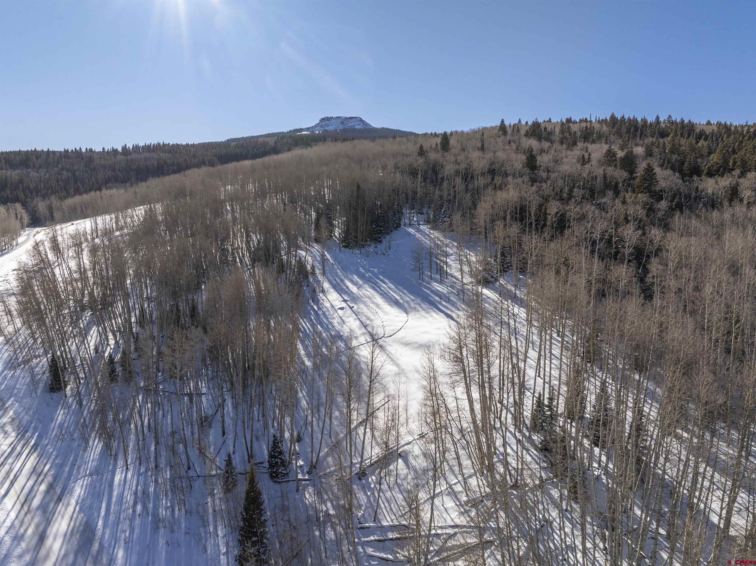 2234 Red Mountain Ranch Road Crested Butte, CO 81224 - Photo 26 of 27 a view of a house with a mountain