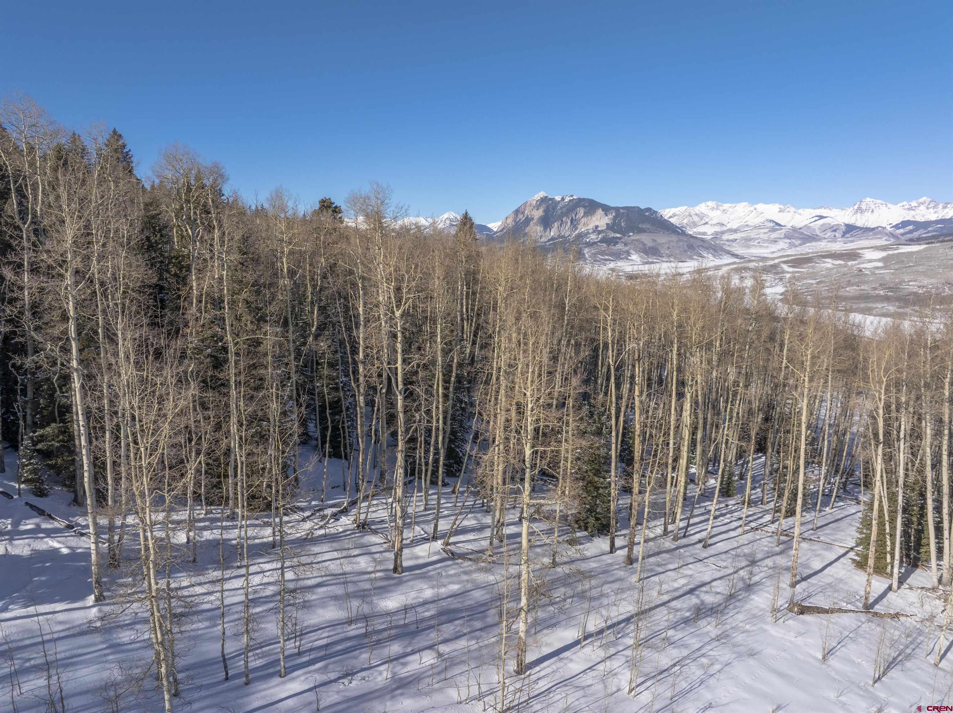 2234 Red Mountain Ranch Road Crested Butte, CO 81224 - Photo 7 of 27 a view of a forest with a mountain