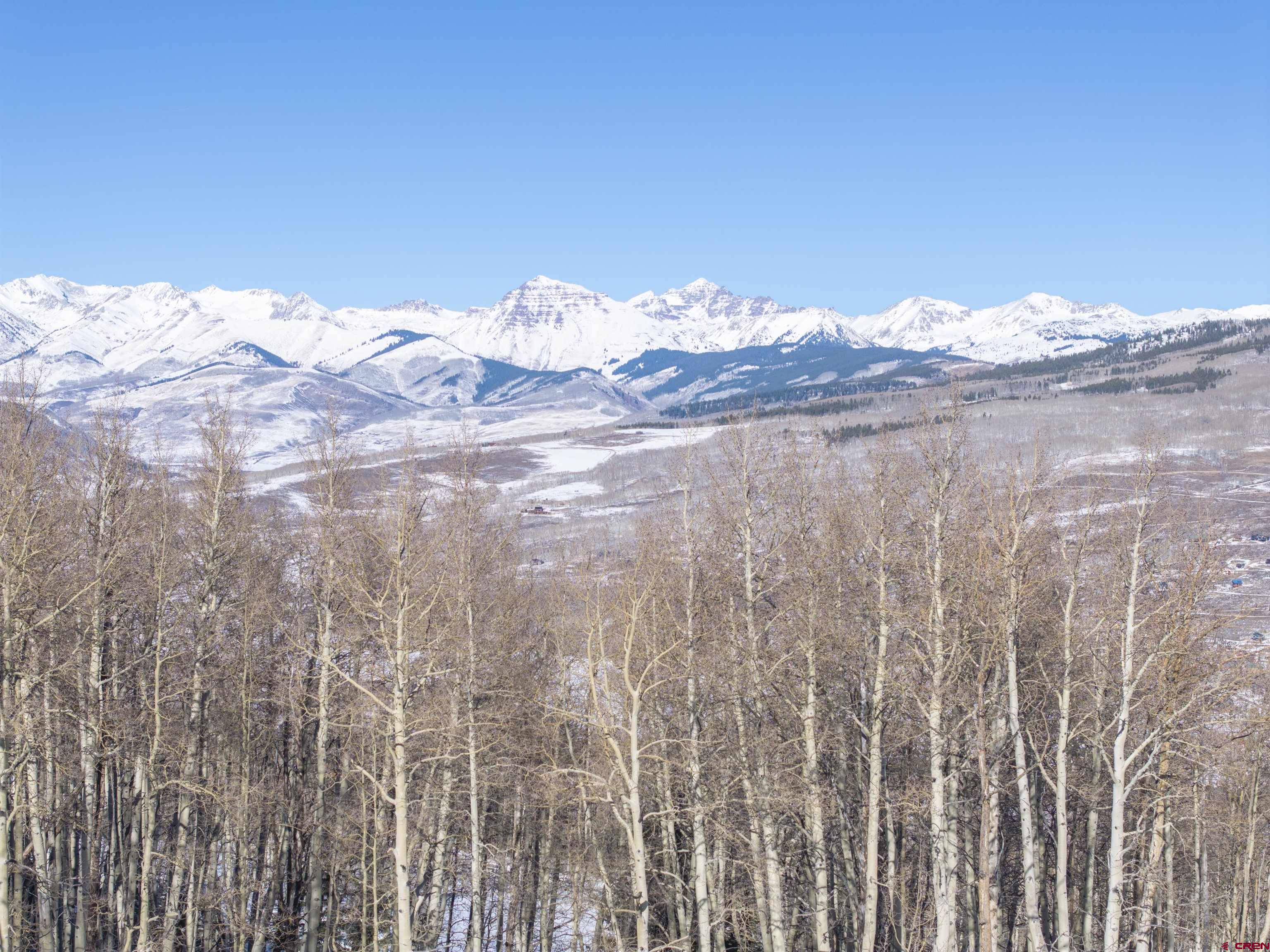 2234 Red Mountain Ranch Road Crested Butte, CO 81224 - Photo 9 of 27 a close up of a table