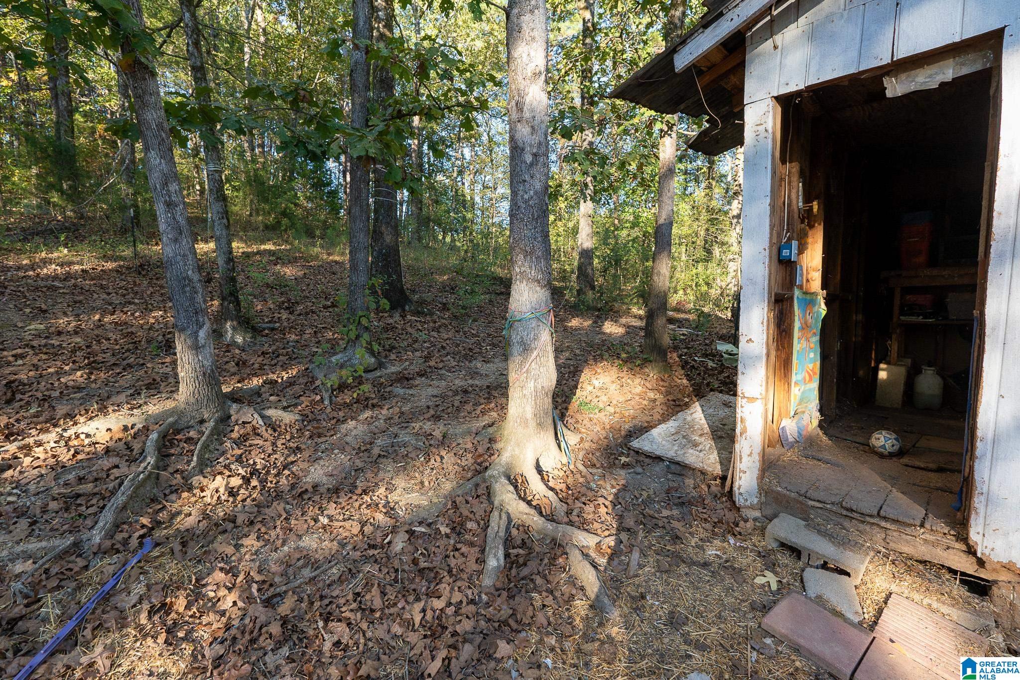 2938 Jackson Road Morris, AL 35116 - Photo 21 of 49