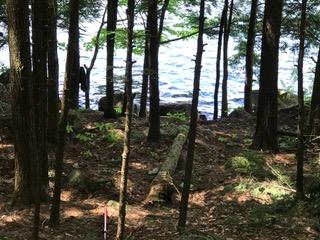 Lot 9 Spring Valley Road Raymond, ME 04071 - Photo 25 of 30 IMG_0422