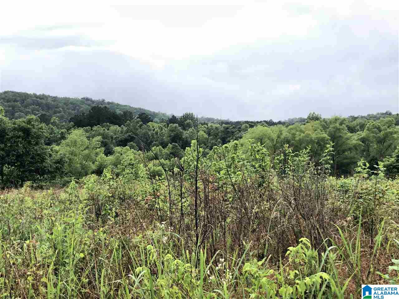 0 Old Downey Mill Road Anniston, AL 36207 - Photo 24 of 28