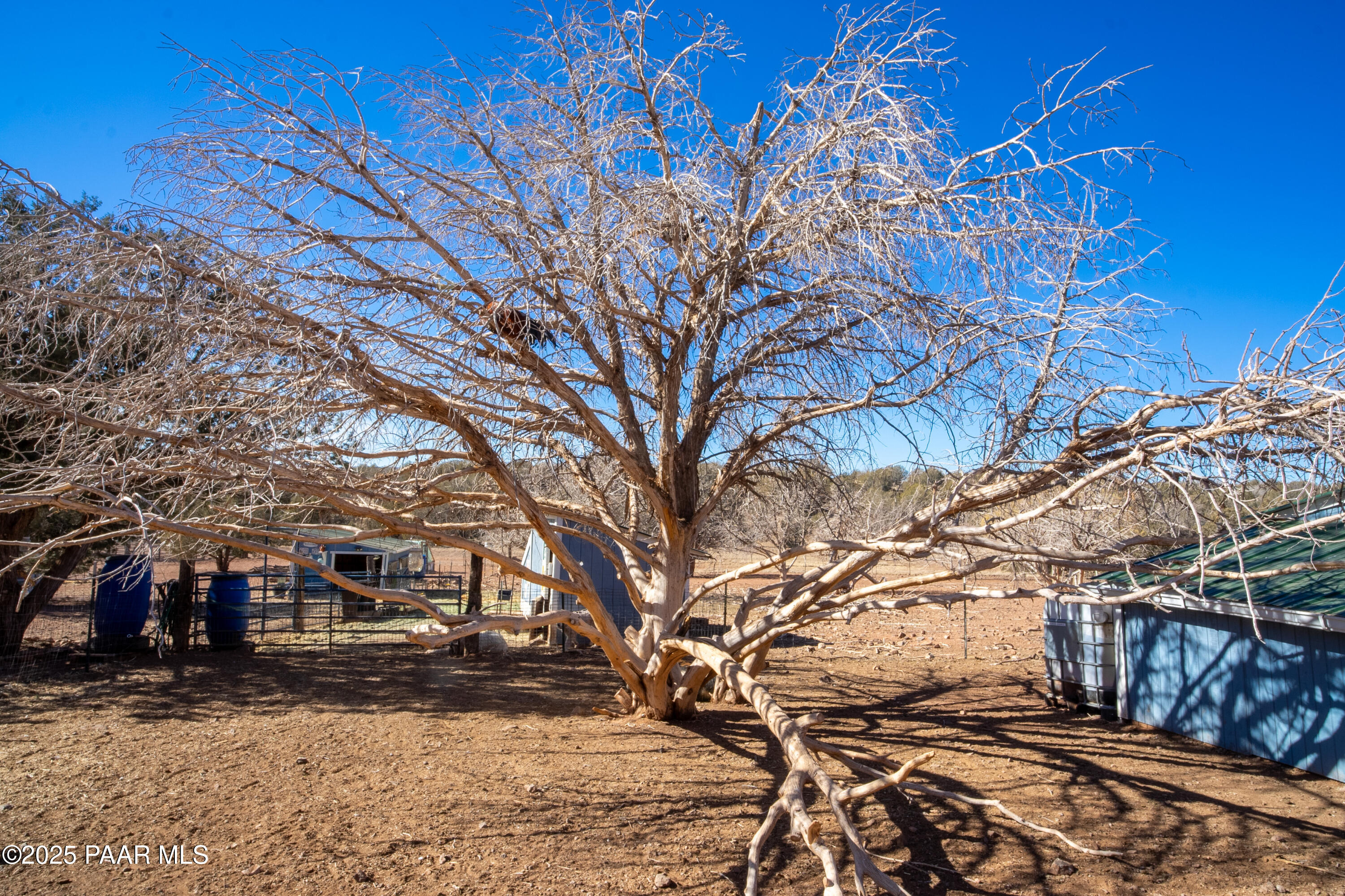 Lot 102 Raz Road Williams, AZ 86046 - Photo 21 of 86 NK202223-HDR