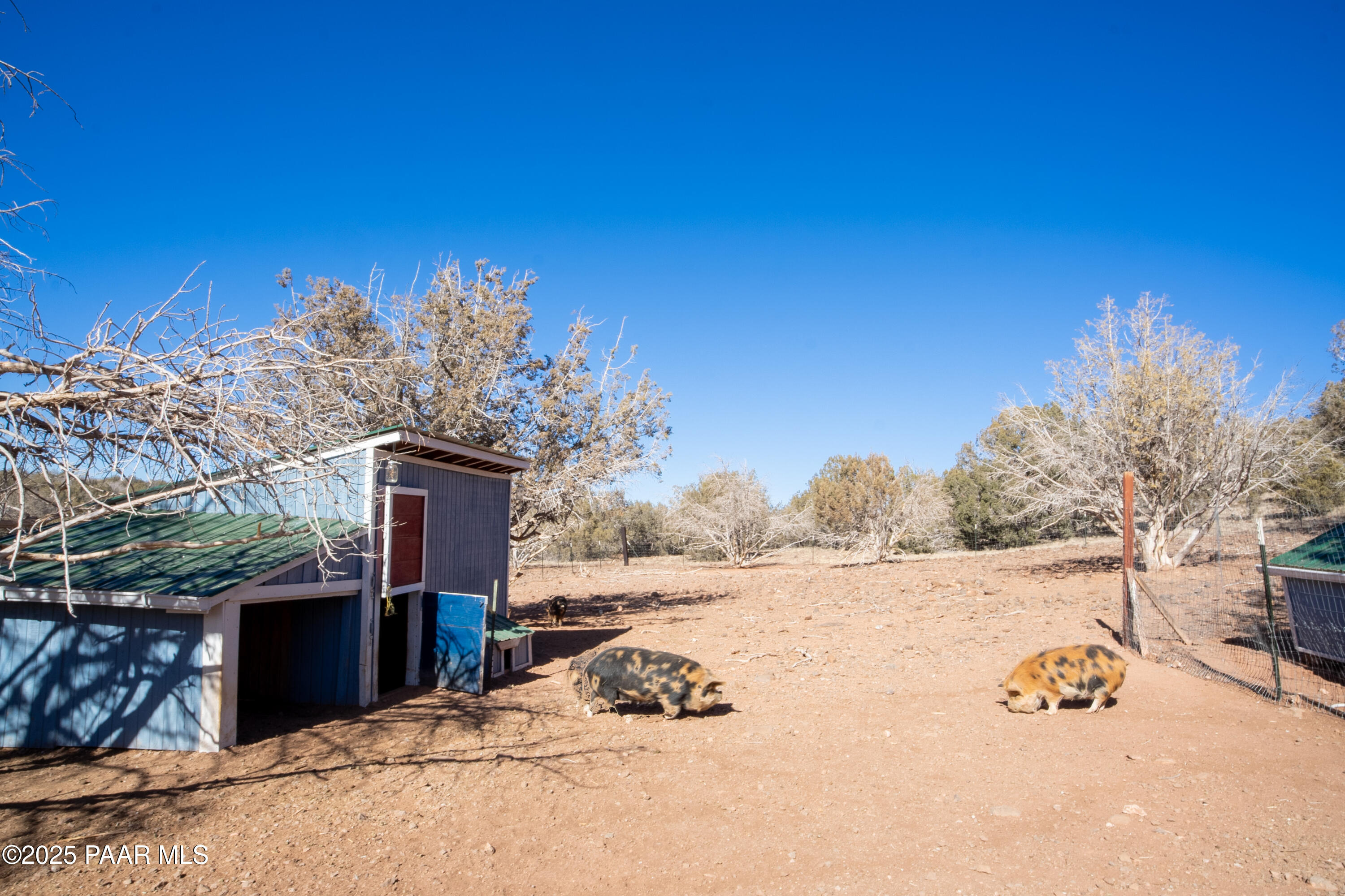 Lot 102 Raz Road Williams, AZ 86046 - Photo 23 of 86 NK202235-HDR